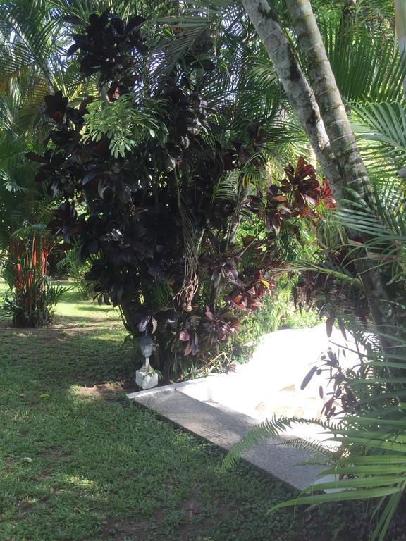 Magellan Boutique Hotel Cahuita Exterior foto